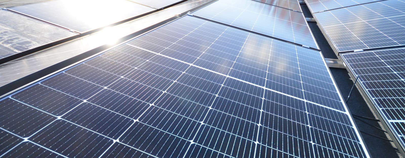 Energy Independence Starts with a Solar panel company near me