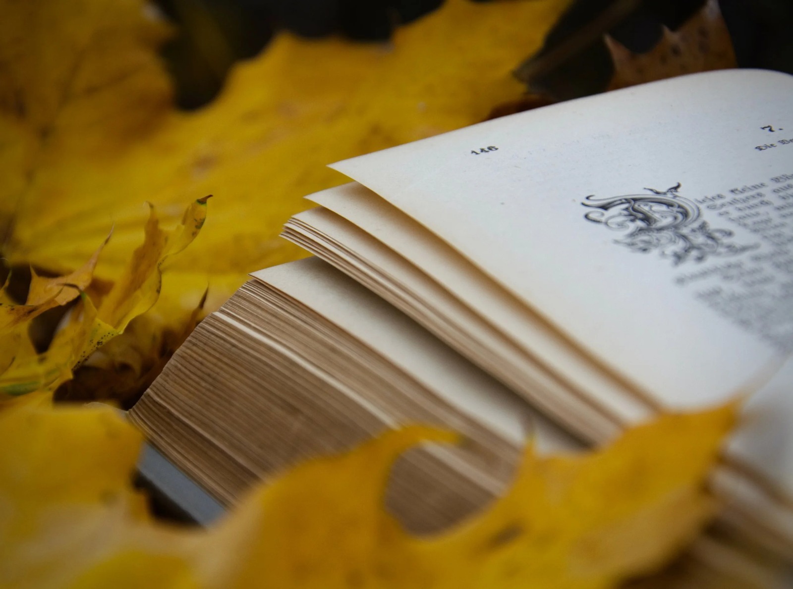 Fire Demon Delivers a Fantasy Experience That Feels Real